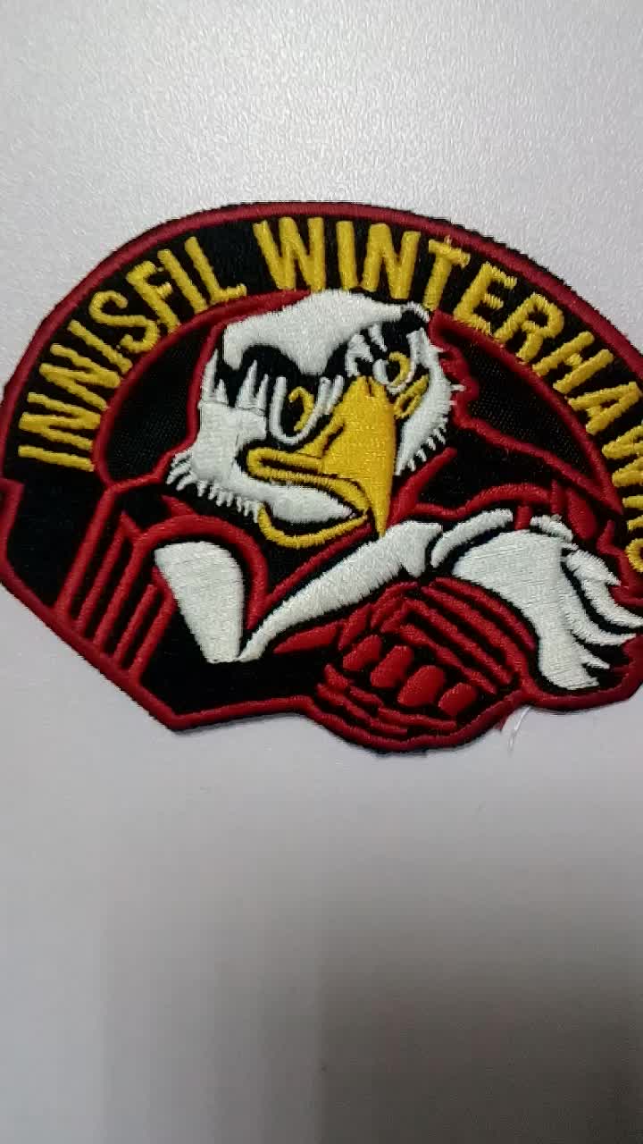 Custom high quality embroidery iron on patch appliquelogo embroidered