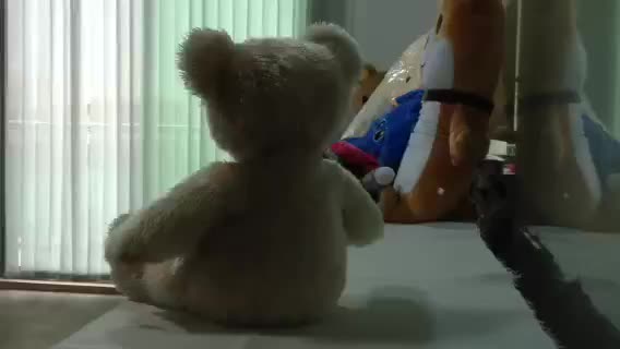 custom teddy bear maker