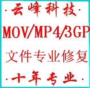 远程数据恢复服务\/MOV \/3GP\/MP4\/视频修复文