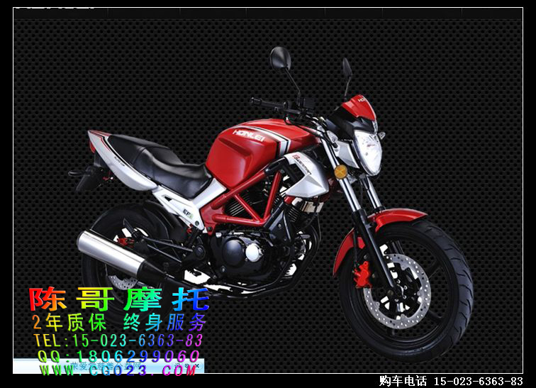 力帆集团轰轰烈250-19P电喷摩托车跑车 双缸