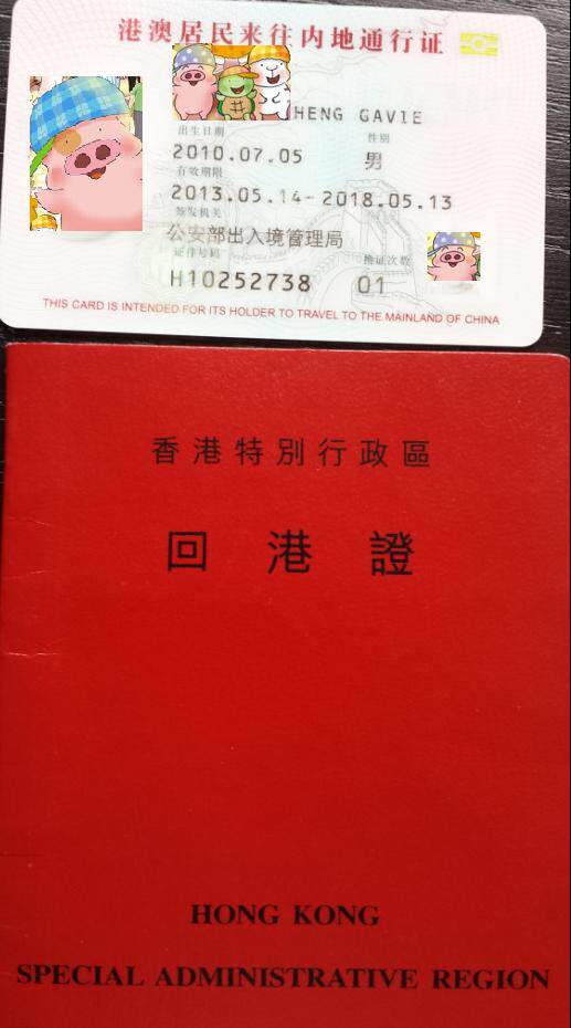 代领回护照委托书