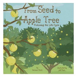 【预订】from seed to apple tree following the life cycle