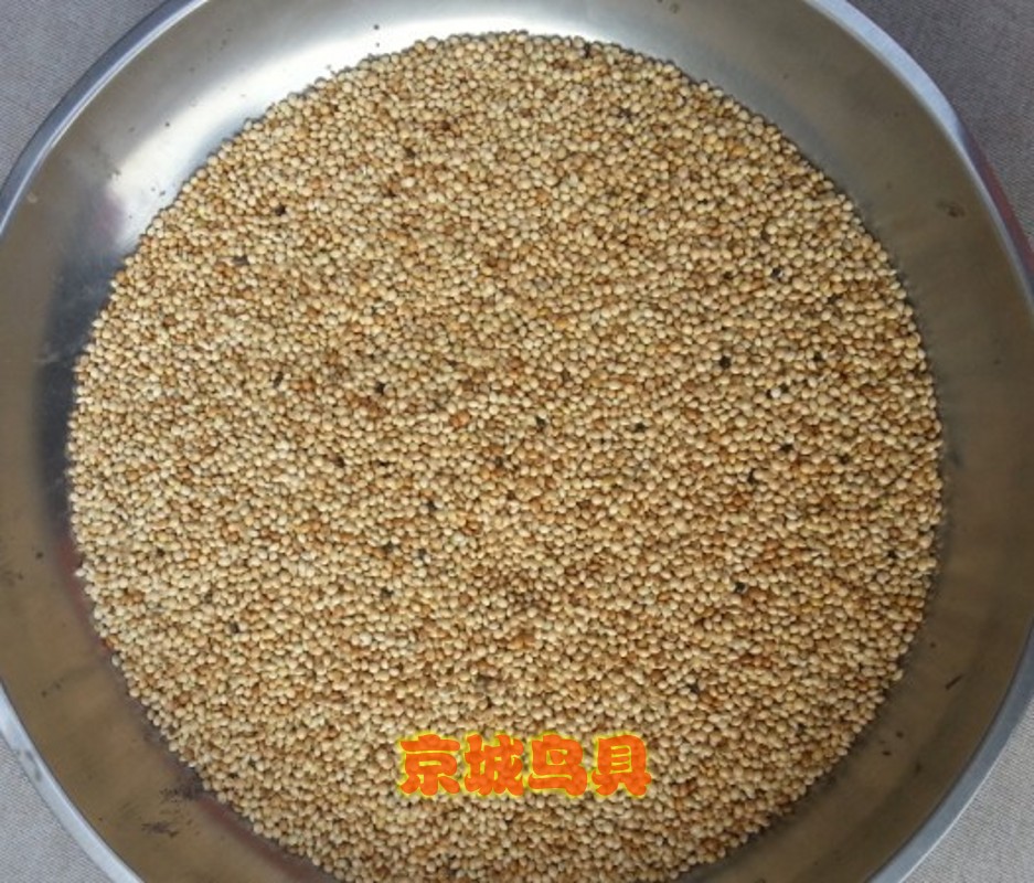 谷子\/虎皮鹦鹉鸟食\/玉鸟食\/文鸟食\/麻雀食\/五彩珍珠鸟食\/500克装|一淘网优惠购|购就省钱