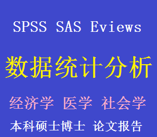 SPSS 数据分析服务 调查问卷 论文统计分析sa