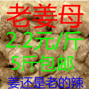 2015山东热水娘姜生姜姜中药材药引子原始点五花肉要冷水还是月子焯水图片