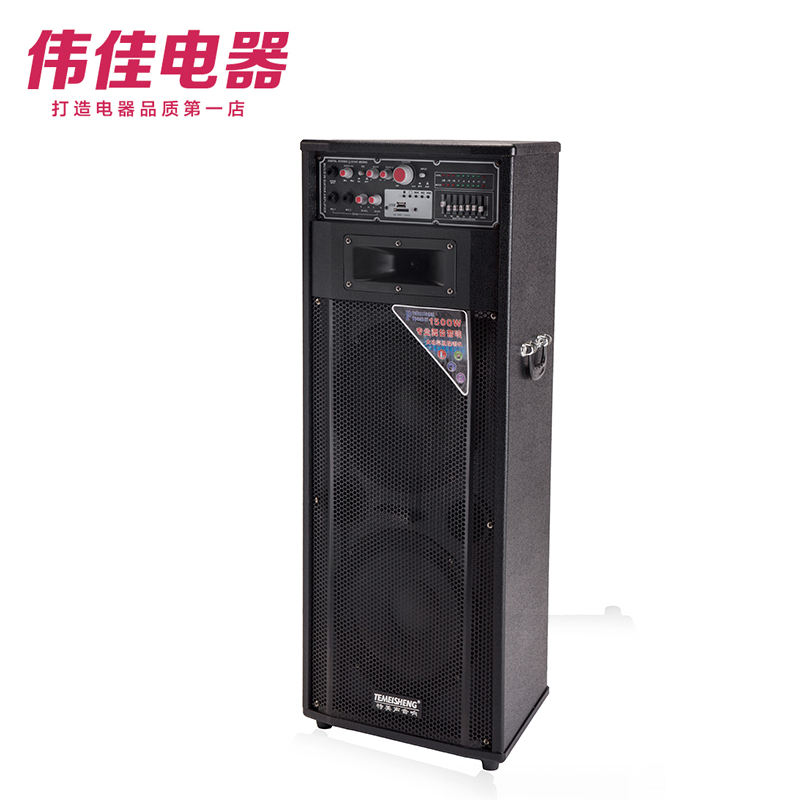 特美声DP-141T 双重低音带均衡舞台音箱户外