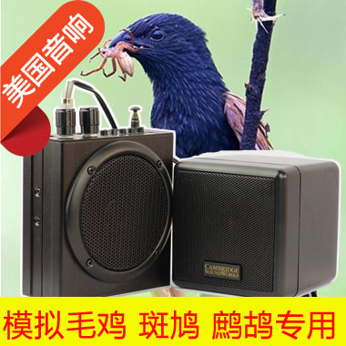 观鸟用电媒外置音箱至尊宝野马外接副喇叭毛鸡