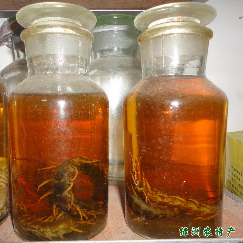 农家自泡 深山蜈蚣酒 治颈椎腰椎酸痛 风湿痛 关节炎 通络止痛|一淘网优惠购|购就省钱