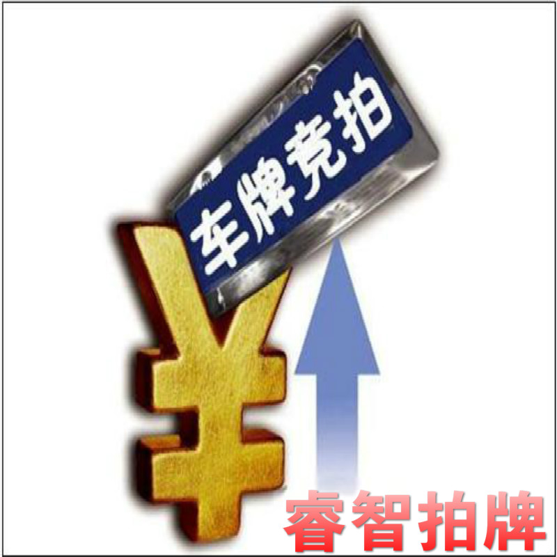 上海 国拍网 网址,睿智代拍沪牌,专业拍牌,代拍上