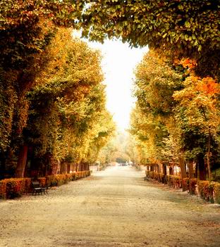 照相馆 影楼背景PP纸喷绘布景日韩背景舞台秋