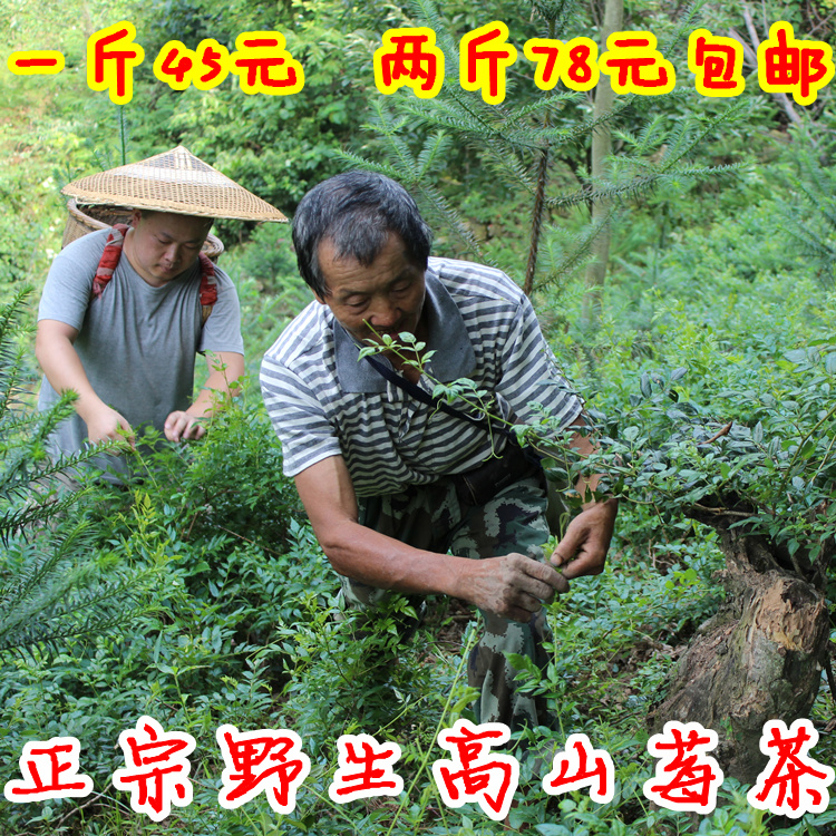 张家界高山野生嫩叶藤茶 新莓茶 霉茶土家甘露正品包邮