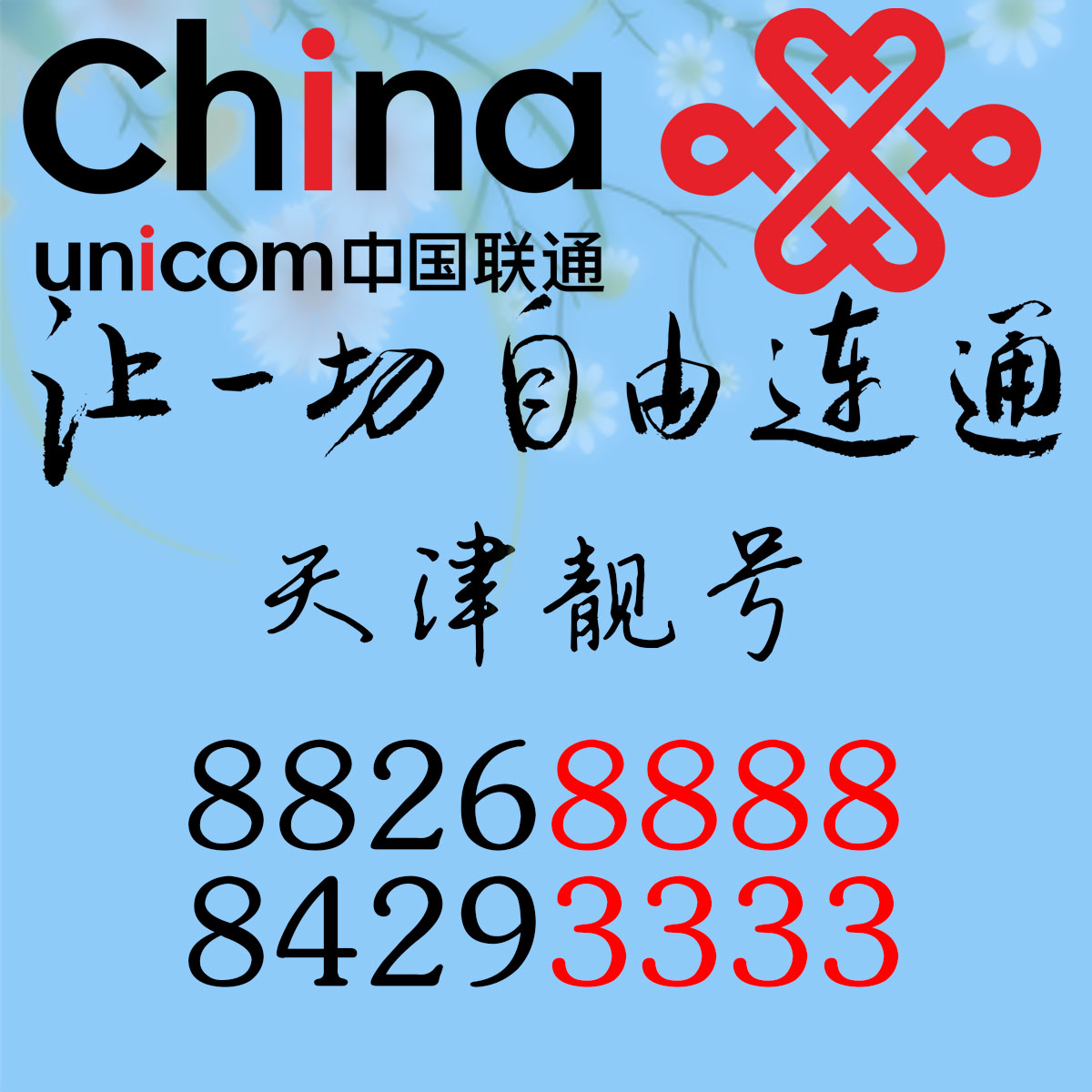 中国联通固定电话号码 AAAA 靓号84293333低