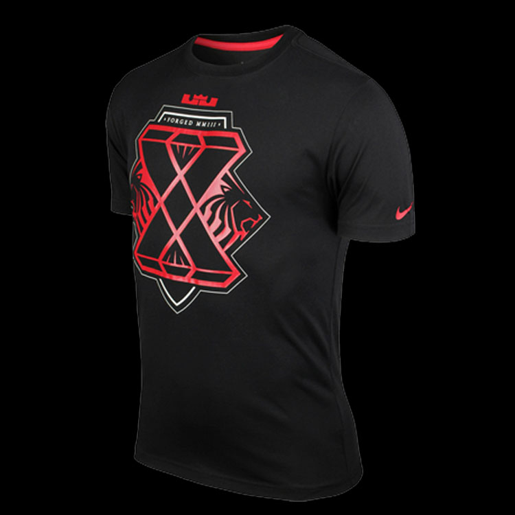 2013热卖新款专柜正品 耐克詹姆斯短袖t恤 勒布