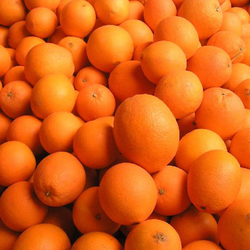 双11预售新鲜水果橙子批发秭归脐橙长虹宜昌