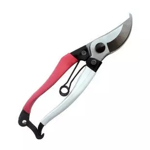 园艺工具红梅子花枝剪 花剪子 植物剪刀 树剪 修