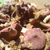 【精选】红菇 野生 龙岩十大品牌,红菇 野生 龙