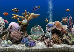 热带鱼海生水族馆屏保屏软件幕保护送注册码电