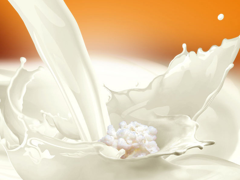 克菲尔儿 高加索开菲尔 酸奶菌种 酸奶发酵剂|一