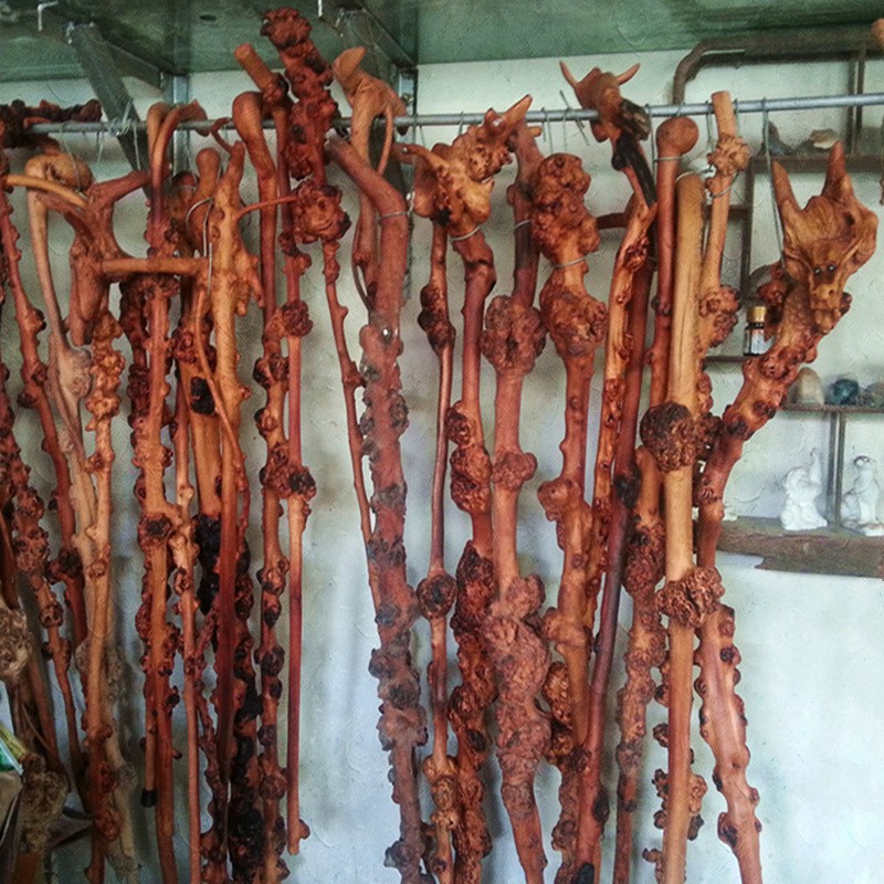 云南红河黑果木拐杖 黑果树根瘤根艺拐杖 耐用
