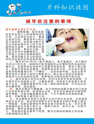 口腔科宣传画/拔牙后的注意事项/牙科宣传海报/牙科挂图定制定做