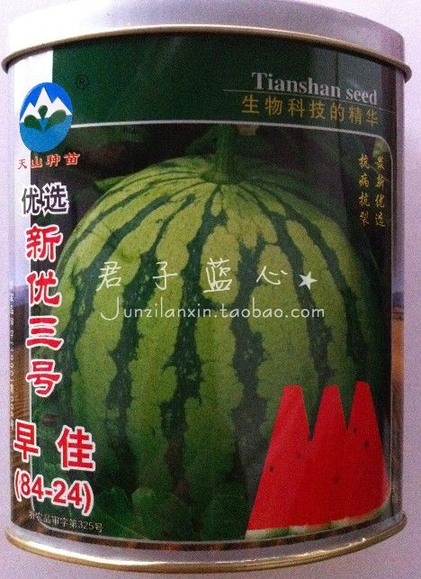 优选新优三号 早佳84-24西瓜种子 麒麟瓜 天山