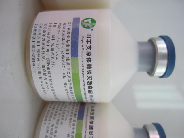 羊支原体肺炎灭活疫苗、羊传染性胸膜肺炎灭活