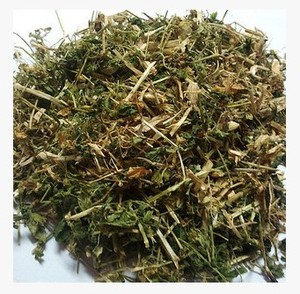 冷背中药材草药正品促销特价包邮 繁缕草 鹅肠