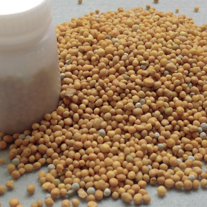 叽叽喵喵肥料美国进口奥绿肥A2缓释肥 多肉球