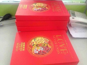 中国平安新华泰康太平洋保险专版保单袋保险礼