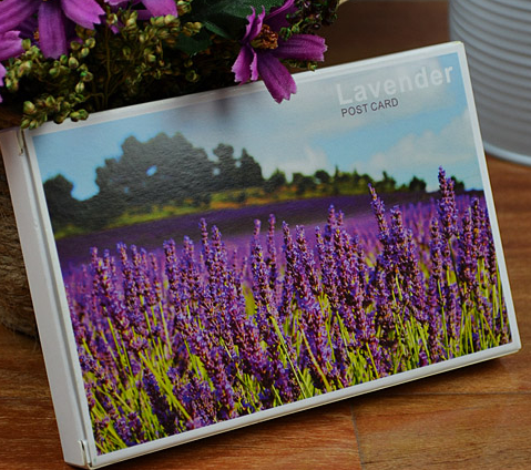 【幸福中转站】熏衣草 代寄明信片 北京邮戳 不