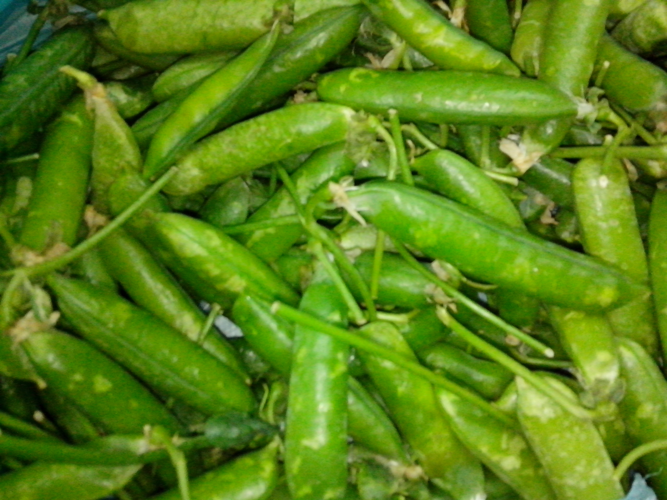 鲜豌豆 甜豆 送菜童子为您送菜到家 深圳同城 服