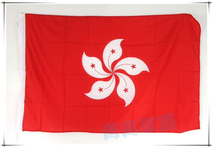 2号香港特区大旗 紫荆花旗 2345号中国国旗,港