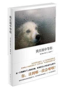我在雨中等你(美国独立书商协会选书·台湾书