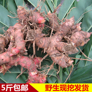 新鲜野生 高良姜 500g 山姜头 南姜 芦苇姜 风姜 小良姜 治汗斑优惠价9.5元,新鲜野生精心为您挑选-麦尔网购导航-网购宝