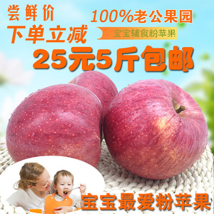 陕西新鲜农家天然粉面苹果5斤老人宝宝可刮泥