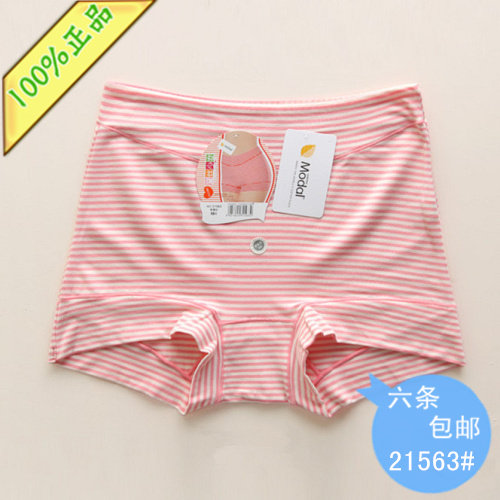 6条包邮<em>黛丝少女21563</em> 条纹大码女式平角莫代