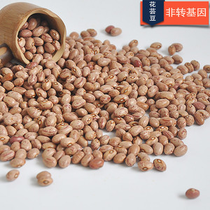 东北有机非转基因认证花芸豆 大饭豆花腰豆杂