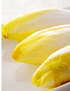  特价 新鲜蔬菜 海南 蔬菜沙拉酱生菜新鲜色拉 比利时小生菜玉兰菜