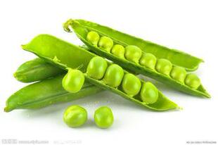  新鲜蔬菜 青豆 青豌豆粒 大豆 新鲜手剥 青豆粒 沙拉 西餐 500g