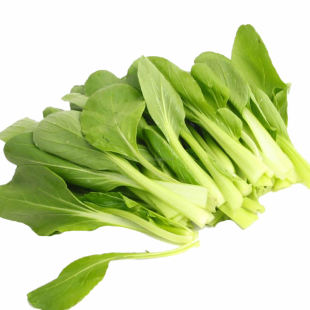  新鲜蔬菜 鸡毛菜 一袋 二三两左右 绿叶蔬菜 小白菜