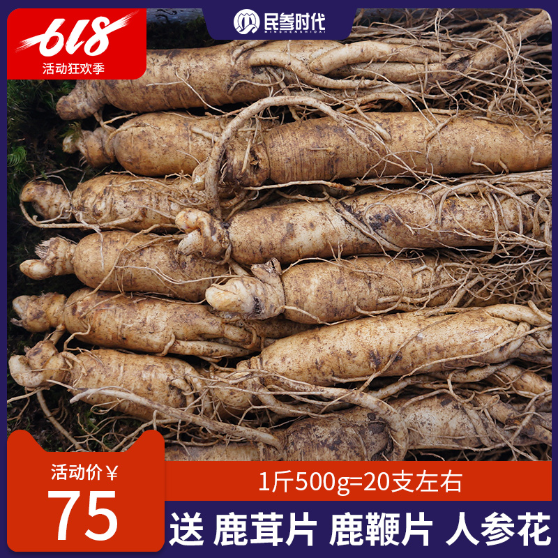 Fresh ginseng Changbai ginseng Paojiu Wild ginseng Soup Hot Pot Preservation Senate 500gin the Traditional nourishing food , Ginseng tonic , Ginseng/Garden ginseng category - from Buy2taobao.com to provide professional Taobao agent buy service