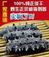  大连野生刺参 7-9年 淡干海参 冬季滋补首选 海参干货