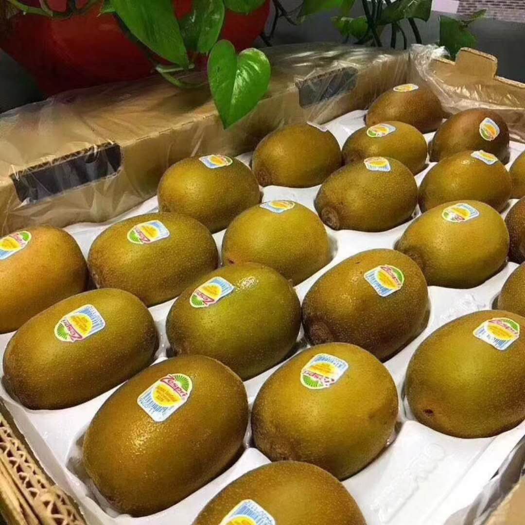 新西兰佳沛金果阳光奇异果Zespri进口黄心猕猴桃原箱进口22颗|msdalam kategori daging perikanan/Buah-buahan segar dan sayur-sayuran/dimasak, buah-buahan segar, Kiwi/Kiwi - dari Buy2taobao.com untuk memberikan perkhidmatan ejen Taobao profesional membeli