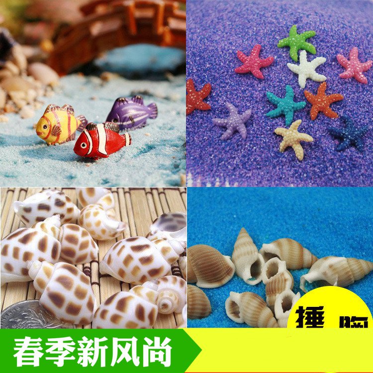 Ocean Material Science natural Small conch shell Wishing Small starfish Dolphin Scenery Landscaping Decorationin the Flower delivery/Flowers simulation/Plants gardening , Gardening supplies , Other Garden Supplies category - from Buy2taobao.com to provide professional Taobao agent buy service