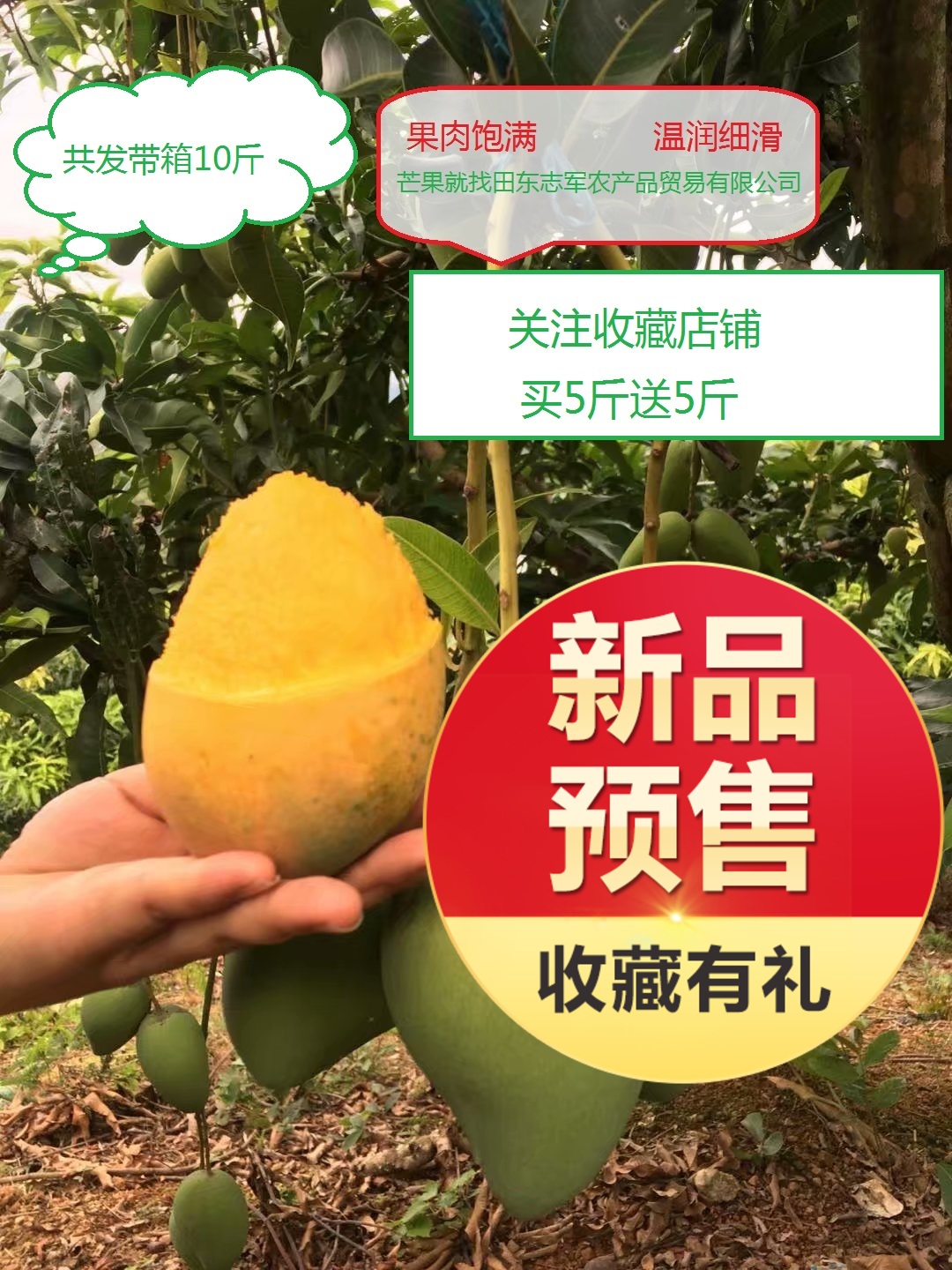 Baise Mango Small farmer fresh Explosive money 10 Place of Origin Straight hair Guarantee to pay compensations recommend Best Sellersin the Aquatic meat/Fresh fruits and vegetables/Cooked , Fresh fruit , Mango category - from Buy2taobao.com to provide professional Taobao agent buy service