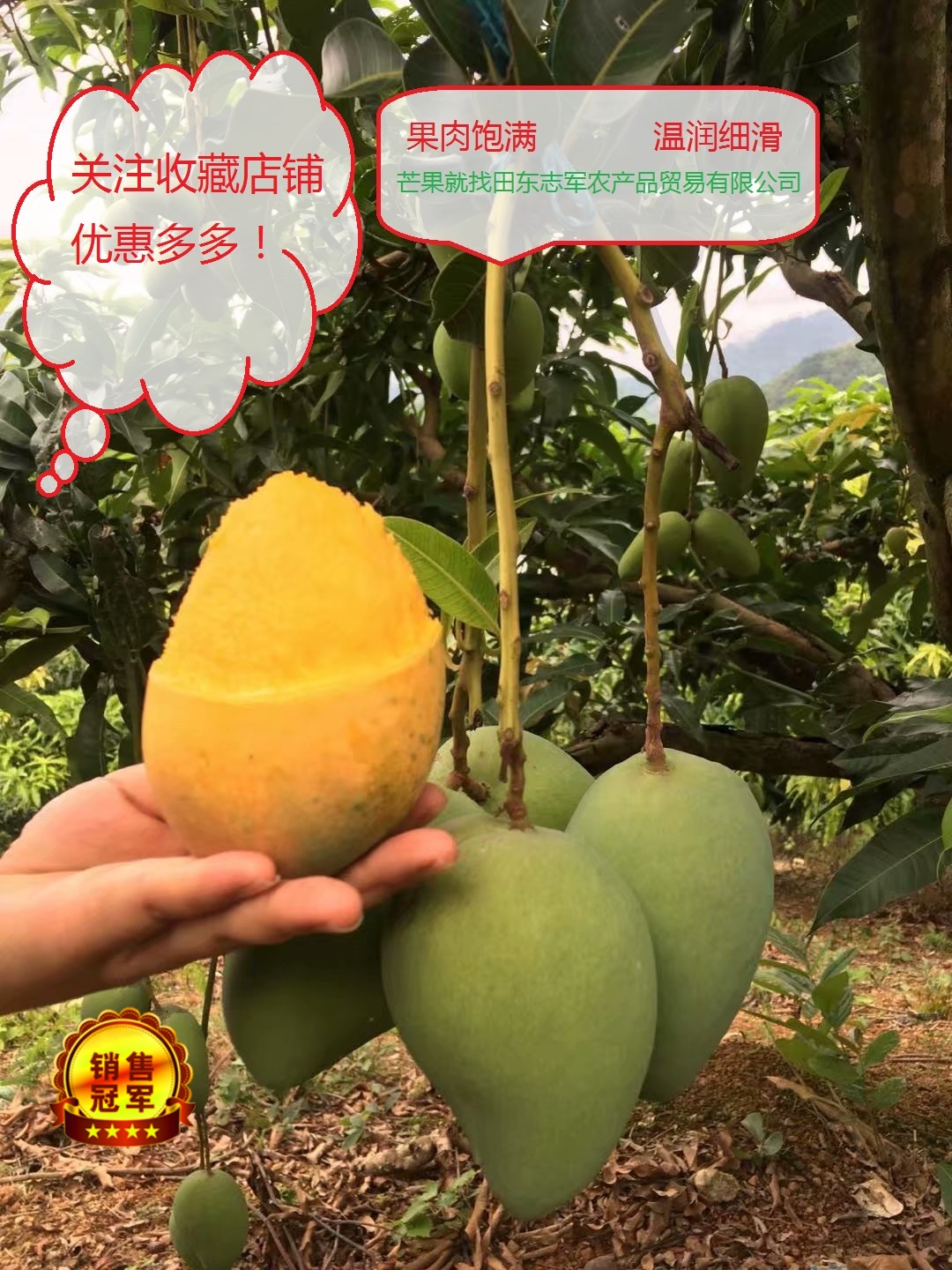 Baise Mango Small farmer Net fruit 5 Best Sellers Place of Origin Straight hair Guarantee to pay compensations recommendin the Aquatic meat/Fresh fruits and vegetables/Cooked , Fresh fruit , Mango category - from Buy2taobao.com to provide professional Taobao agent buy service