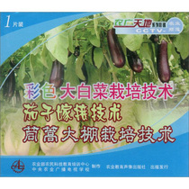 大棚蔬菜种植技术大全 茼蒿辣椒黄瓜西瓜茄子