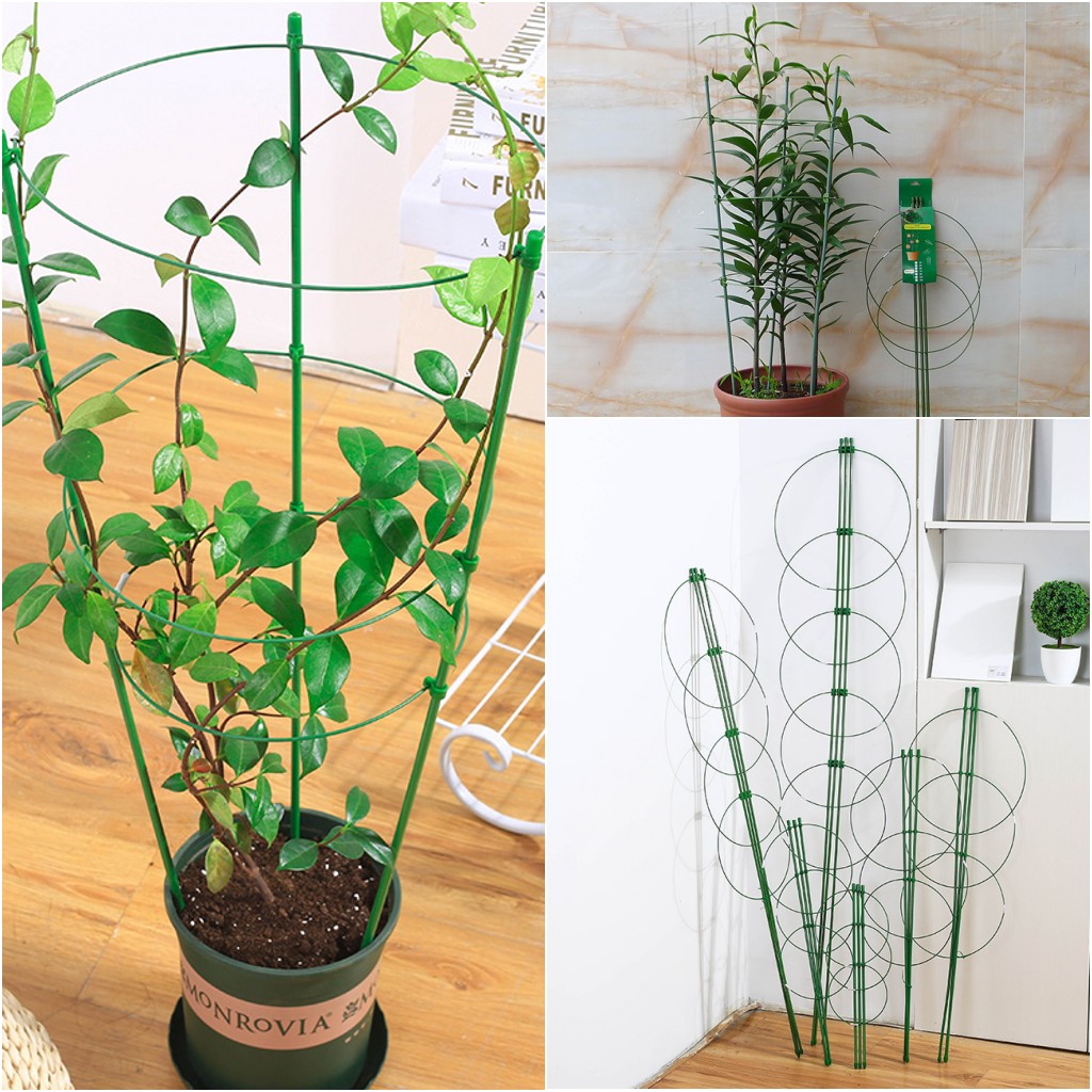 球兰苗爬藤支架盆栽植物固定 藤蔓花架爬藤架铁艺花架花支柱|ruв категории доставка цветов/цветок моделирования/растения садоводства, садовых принадлежностей, других садовых принадлежностей - от Buy2taobao.com для оказания профессиональной услуги покупки агента Taobao