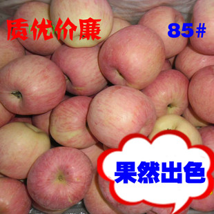  新鲜水果 烟台栖霞有机红富士苹果  85#