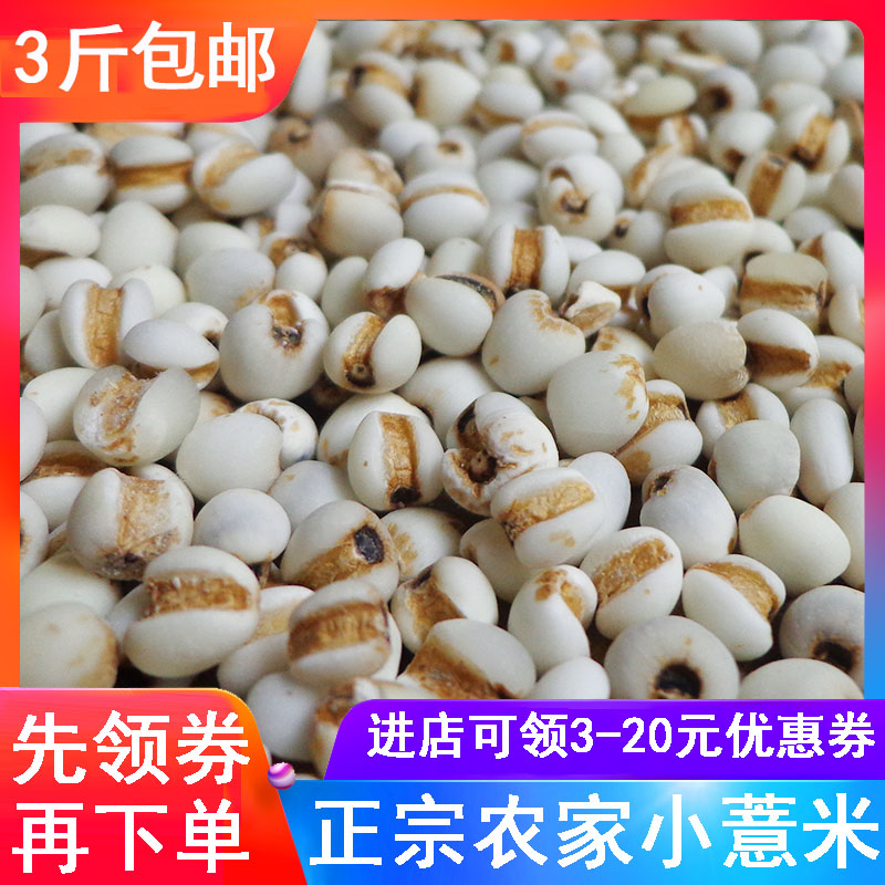 新货生小薏米仁薏苡仁干 非宁化浦城炒薏米粉茶红豆粉山药粉搭档在类目 粮油米面/南北干货/调味品, 米/面粉/杂粮, 米类, 薏米中 - 来自Buy2taobao.com提供专业的淘宝代购服务